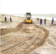 scarifying